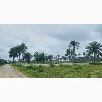 Mixed-Use Land for Sale - 50000 Square Metres