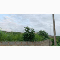 2 1/2 Plots of Land (1385.397 Sq.Mts)
