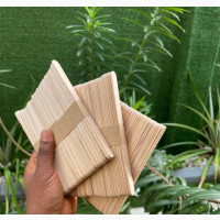 Plain Popsicle Sticks