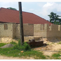 Developing Area