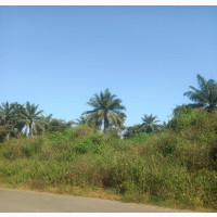 3500 Acres at Ikeji -Ile, Near Ijebu Ijesa