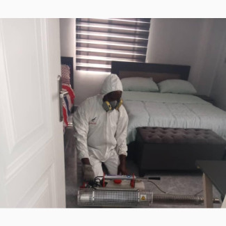 Fumigation Machine