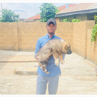 Doosanimal Care - Vet Services in Ibadan