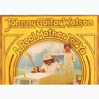 Johnny Guitar Watson - A Real Mother for Ya LP Record
