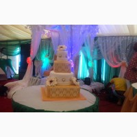 Glorious Canopies and Tents for Your Party