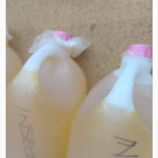 Insecticide for Sale - 5 Litres
