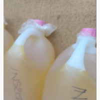 Insecticide for Sale - 5 Litres