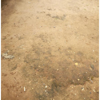 Quarter Plot of Land for Rent/Lease