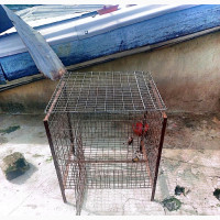 Strong Dog Cage