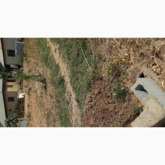 231sqm Residential Land for Sale in Developed Neighborhood