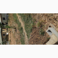 231sqm Residential Land for Sale in Developed Neighborhood
