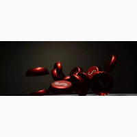 3D Animation and 3D Modelling Services