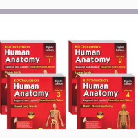 Human Anatomy