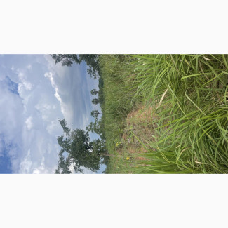 Plots of Lands for Sell