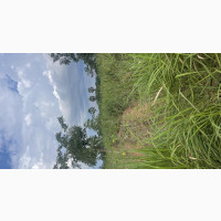 Plots of Lands for Sell