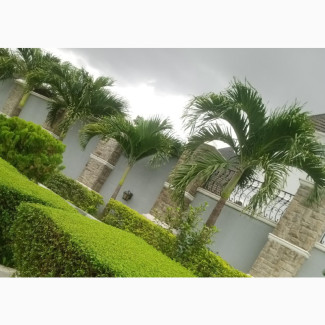 Horticulturist 4 Ur Home, Schl, Office, Hotel Beautification