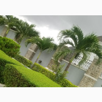 Horticulturist 4 Ur Home, Schl, Office, Hotel Beautification
