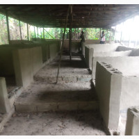 Pig Farm for Sale