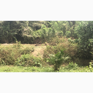 44, 000 Acres Farmland for Sale in Idere/IgboOra, Oyo State