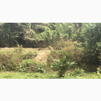 44, 000 Acres Farmland for Sale in Idere/IgboOra, Oyo State
