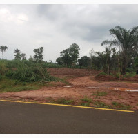 Hectres of Land