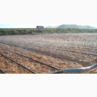 Farm Spray Tube