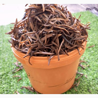 Dried Ukpaka/Ugba - Nutritious and Sand-Free