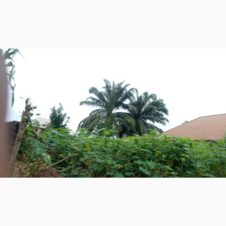 Furnished 10bdrm House in Awada, Onitsha for sale