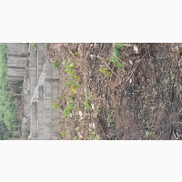 Half Plot of Land With a Foundation and Dwarf Fence