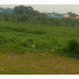 350sqm Mixed-Use Land with Facilities for Sale