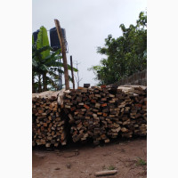 Your Roofing Woods Plug