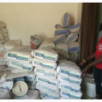 White Cement Distributor - Get Dangote and Bua Cement at Great Prices