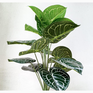 Artificial Taro Green Potted Plant - 60cm