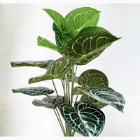 Artificial Taro Green Potted Plant - 60cm