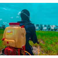 Compound Fumigation