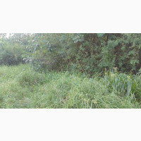 Serviced C of O Land for Investment