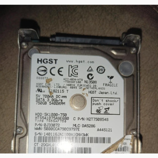 HGST 750G Memory