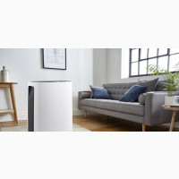 Swan20 Litre Dehumidifier