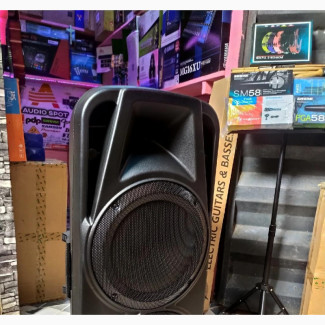 Double PA System and Double Wireless Mic 10000w With EQ
