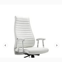 Executive Office Chairs With Back and Waist Support