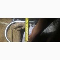 U Bolt 16mmx6