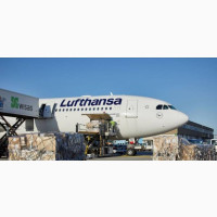 Ship From Nigeria To Anywhere In The World Door To Door