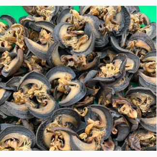 Bush Oven Dried Snails