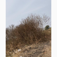 20 Acres of Farmland Forsale at Igbatoro