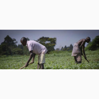 Skilled Agricultural Farm Workers Available at Divine Grace