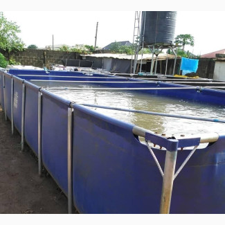 Mobile Fish Pond Fist Quality Korea Tarpaulin