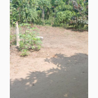 2 Plots of Land for Sale - Ada George Rd PH