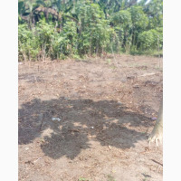 2 Plots of Land for Sale - Ada George Rd PH