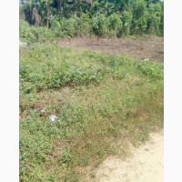 2 Plots of Land for Sale - Ada George Rd PH