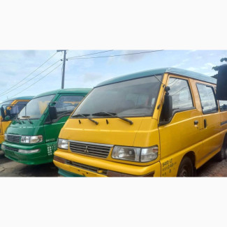 Mitsubishi Delica 2010
